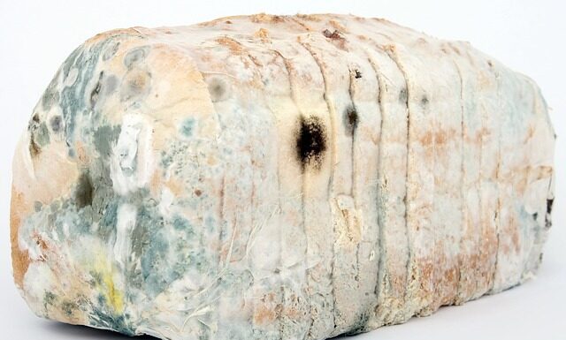 Jak zdezynfekować obuwie?