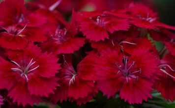 Czy kreska na dolnej powiece postarza?