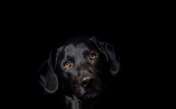 Jak zdjąć hybrydę żeby nie niszcząc paznokci?