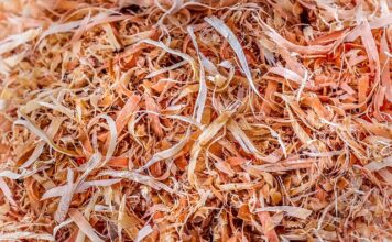 Jaki pilnik do paznokci żelowych?