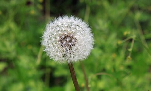 Co oznacza swędzące opuszki palców?