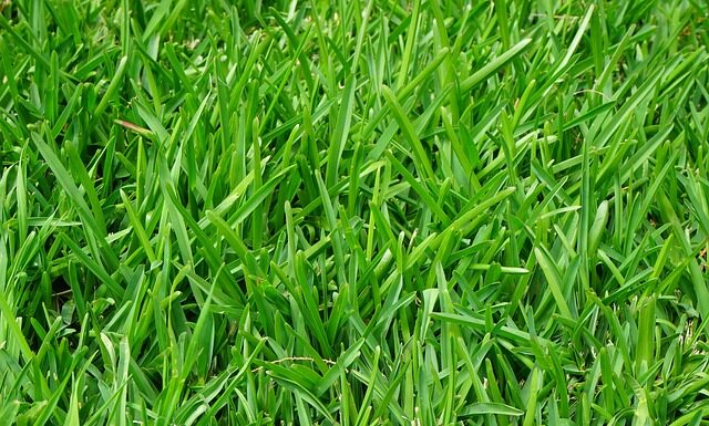 Co zrobić żeby nie rosły włosy na nogach?