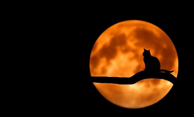 Jak zrobić domowy Cleaner do paznokci?