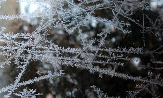 Czy można mrozić w folii spożywczej?