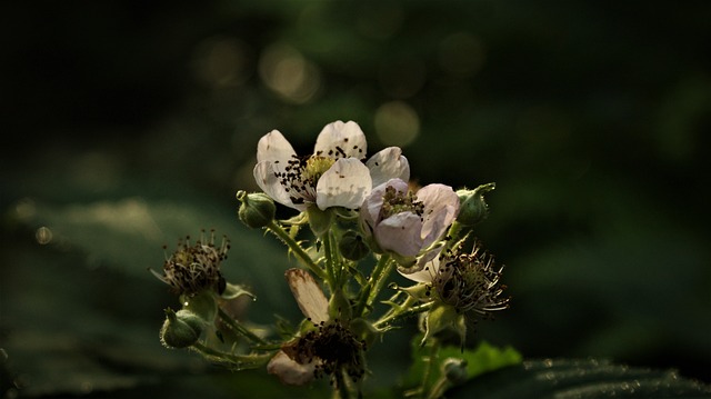 O czym świadczą zadziory przy paznokciach?