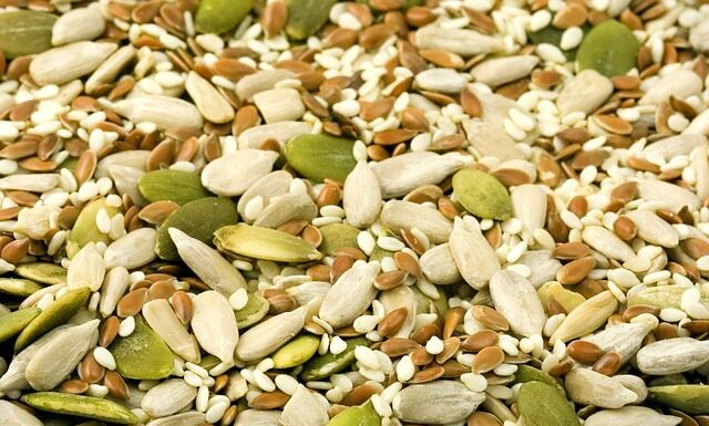 Jak wygląda jądro męskie?