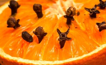Jaki odświeżacz do butów?