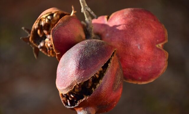 Od czego pękają paznokcie wzdłuż?